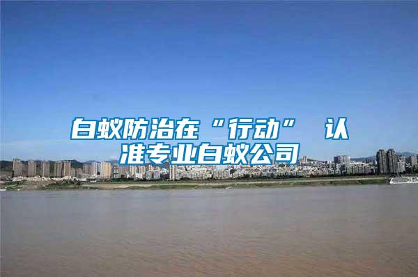 白蟻防治在“行動(dòng)” 認(rèn)準(zhǔn)專業(yè)白蟻公司