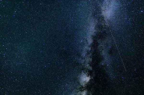 專業(yè)滅跳蚤,止癢除跳蚤, 古法新法一起用