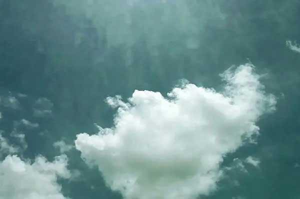 除蟲公司滅螞蟻?zhàn)罴逊椒?/></p>
             <p style=