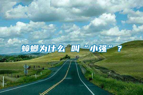 蟑螂為什么 叫“小強(qiáng)”？