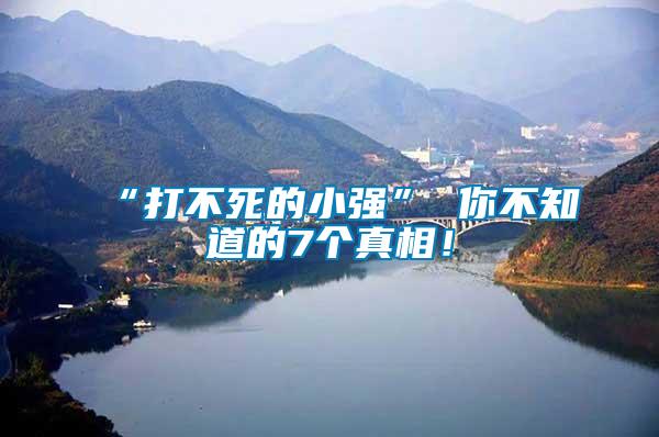 “打不死的小強(qiáng)” 你不知道的7個真相！