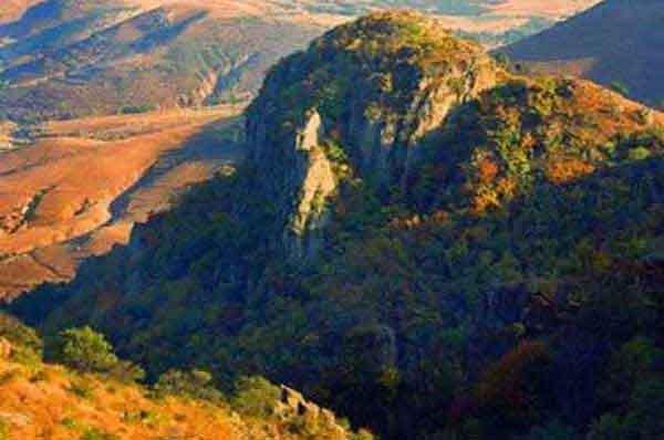 臭蟲怎么消滅,殺臭蟲公司介紹家庭臭蟲的3個來源途徑