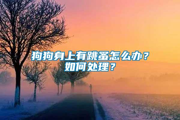 狗狗身上有跳蚤怎么辦？如何處理？