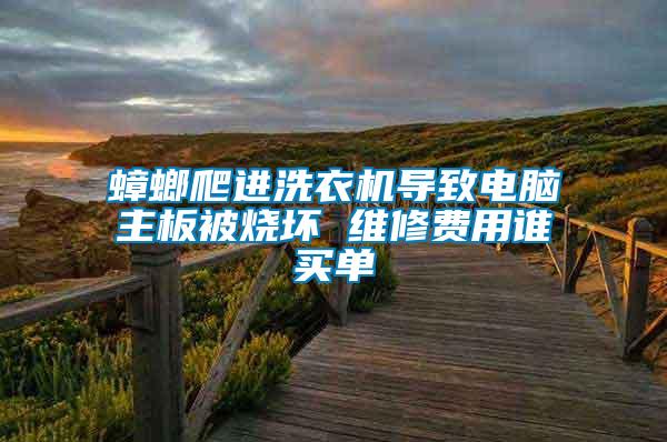 蟑螂爬進(jìn)洗衣機(jī)導(dǎo)致電腦主板被燒壞 維修費(fèi)用誰買單