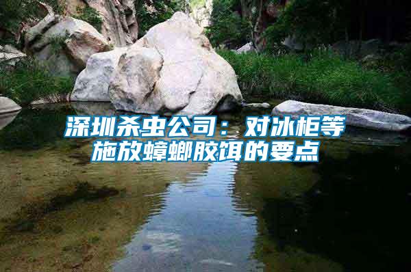 深圳殺蟲公司:對冰柜等施放蟑螂膠餌的要點