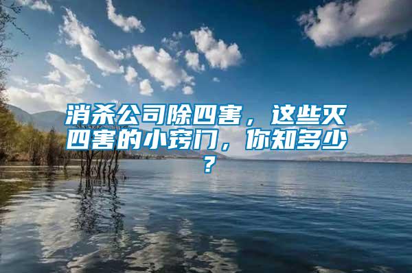 消殺公司除四害，這些滅四害的小竅門，你知多少？
