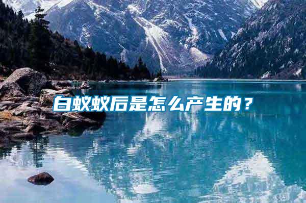 白蟻蟻后是怎么產(chǎn)生的?