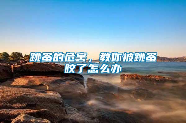 跳蚤的危害，教你被跳蚤咬了怎么辦