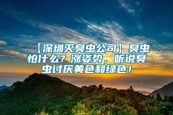 【深圳滅臭蟲公司】臭蟲怕什么？漲姿勢，聽說臭蟲討厭黃色和綠色！