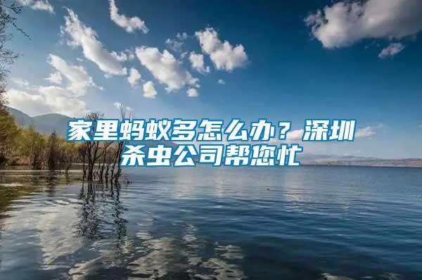 家里螞蟻多怎么辦？深圳殺蟲(chóng)公司幫您忙