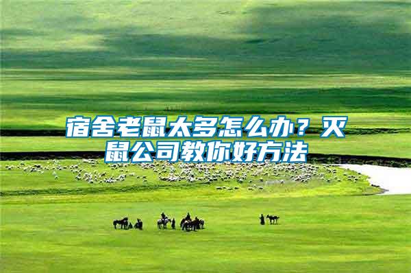 宿舍老鼠太多怎么辦？滅鼠公司教你好方法