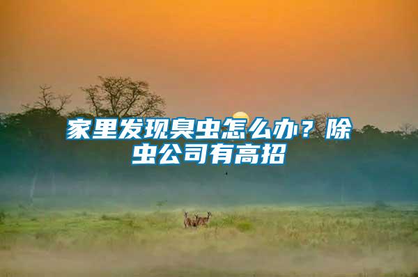 家里發(fā)現(xiàn)臭蟲(chóng)怎么辦？除蟲(chóng)公司有高招