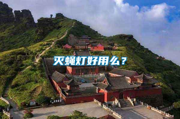 滅蠅燈好用么？