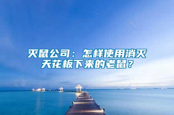 滅鼠公司：怎樣使用消滅天花板下來的老鼠？