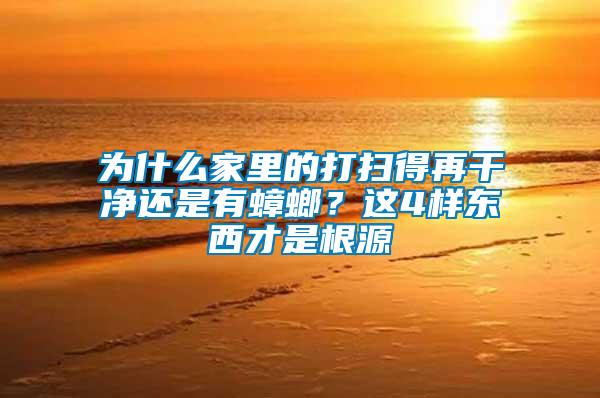 為什么家里的打掃得再干凈還是有蟑螂?這4樣?xùn)|西才是根源