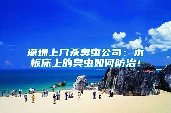 深圳上門殺臭蟲公司：木板床上的臭蟲如何防治！