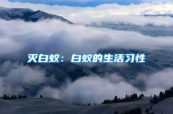 滅白蟻:白蟻的生活習(xí)性