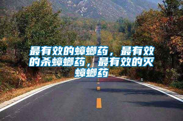 最有效的蟑螂藥，最有效的殺蟑螂藥，最有效的滅蟑螂藥