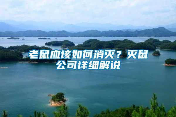 老鼠應該如何消滅？滅鼠公司詳細解說