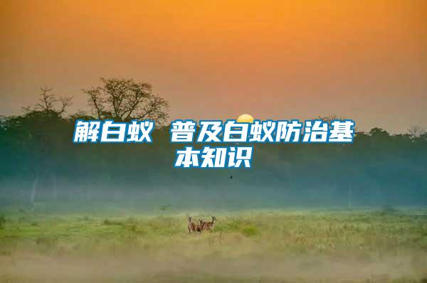 解白蟻 普及白蟻防治基本知識(shí)