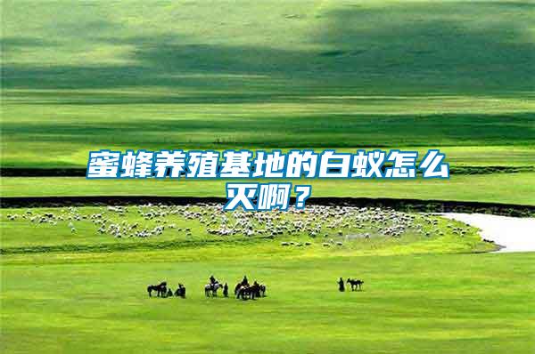 蜜蜂養(yǎng)殖基地的白蟻怎么滅??？