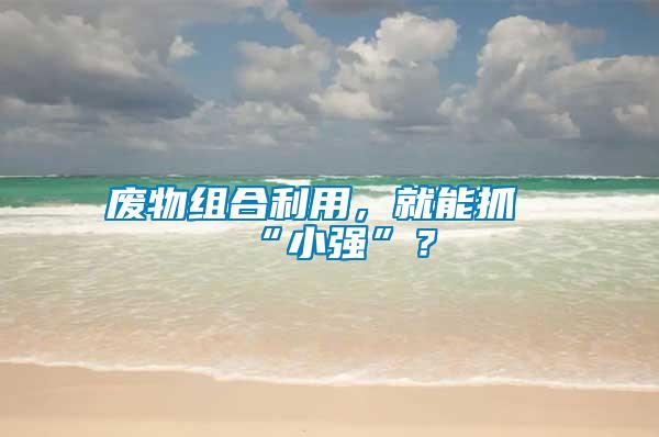 廢物組合利用，就能抓“小強”？