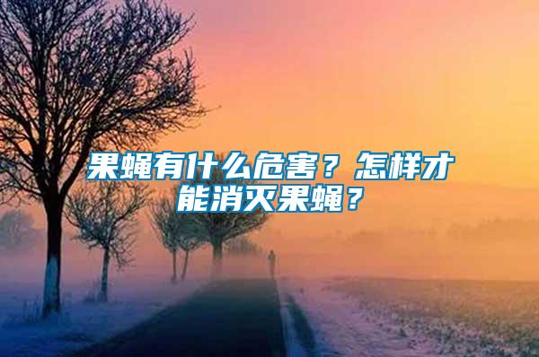 果蠅有什么危害？怎樣才能消滅果蠅？