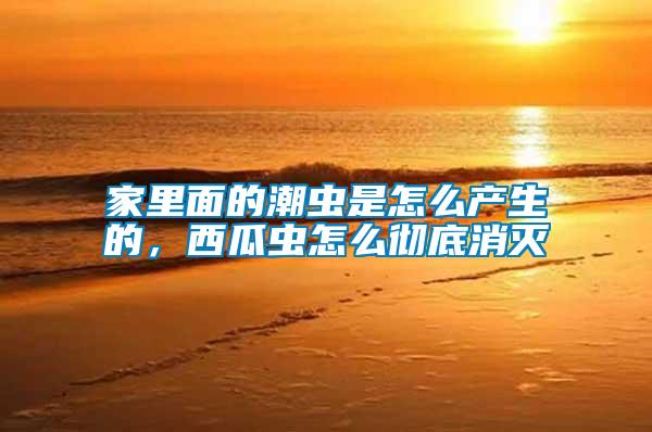 家里面的潮蟲是怎么產(chǎn)生的，西瓜蟲怎么徹底消滅