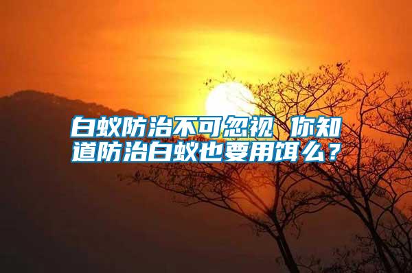 白蟻防治不可忽視 你知道防治白蟻也要用餌么?