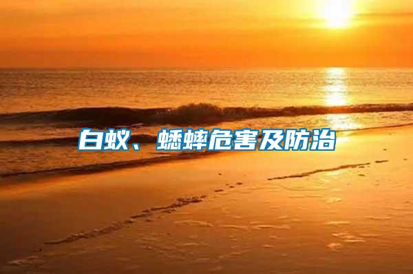 白蟻、蟋蟀危害及防治