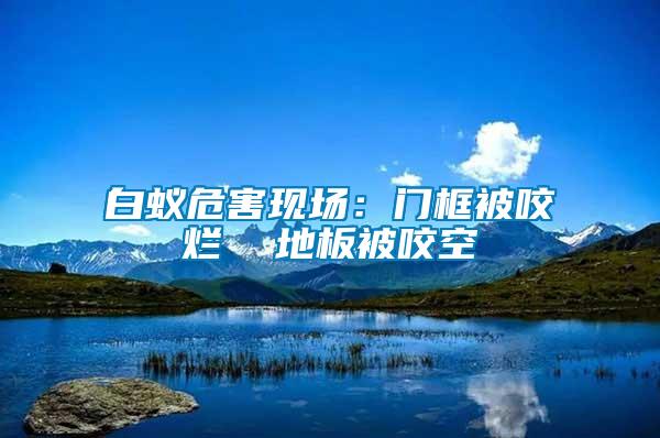 白蟻危害現(xiàn)場(chǎng):門框被咬爛 地板被咬空