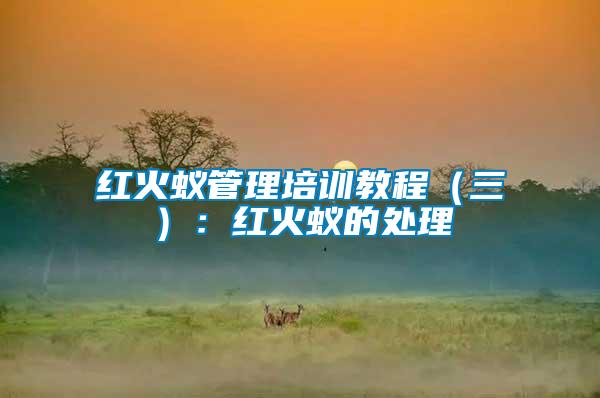 紅火蟻管理培訓(xùn)教程(三):紅火蟻的處理