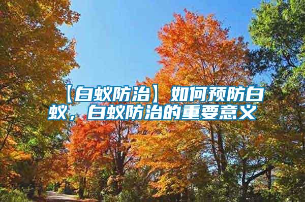 【白蟻防治】如何預(yù)防白蟻，白蟻防治的重要意義
