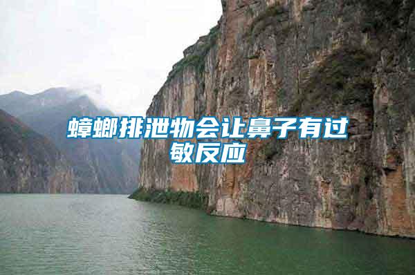 蟑螂排泄物會讓鼻子有過敏反應