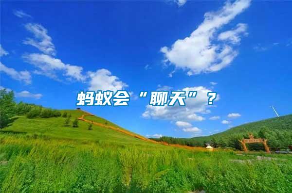 螞蟻會(huì)“聊天”？