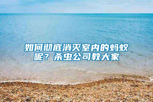 如何徹底消滅室內(nèi)的螞蟻呢？殺蟲(chóng)公司教大家