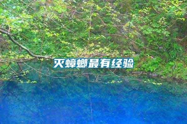 滅蟑螂最有經(jīng)驗