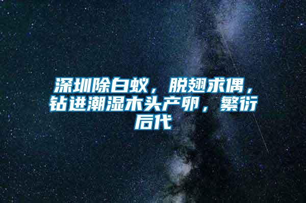 深圳除白蟻，脫翅求偶，鉆進(jìn)潮濕木頭產(chǎn)卵，繁衍后代