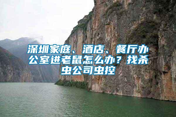 深圳家庭、酒店、餐廳辦公室進(jìn)老鼠怎么辦？找殺蟲公司蟲控