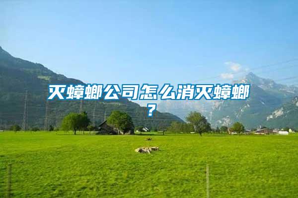 滅蟑螂公司怎么消滅蟑螂？