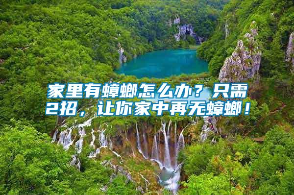 家里有蟑螂怎么辦？只需2招，讓你家中再無蟑螂！