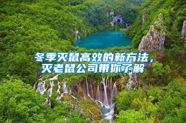 冬季滅鼠高效的新方法，滅老鼠公司帶你了解