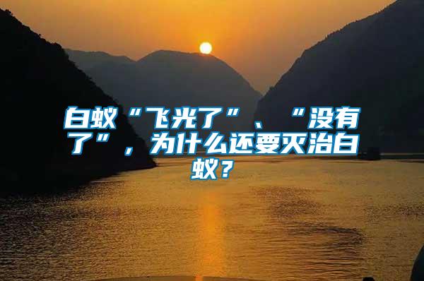 白蟻“飛光了”、“沒有了”，為什么還要滅治白蟻？