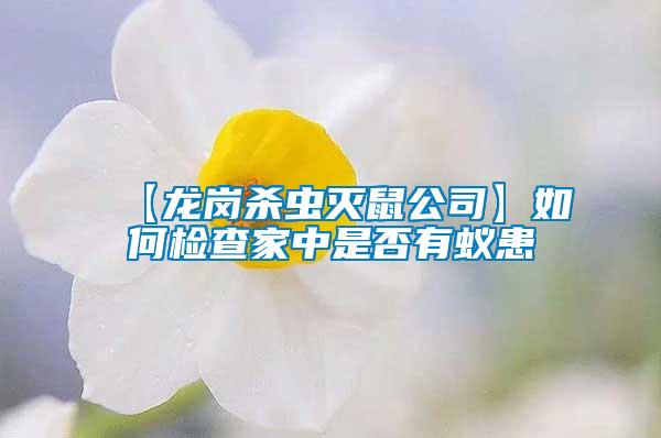 【龍崗殺蟲(chóng)滅鼠公司】如何檢查家中是否有蟻患