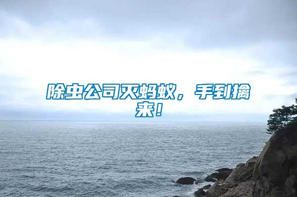 除蟲公司滅螞蟻，手到擒來！