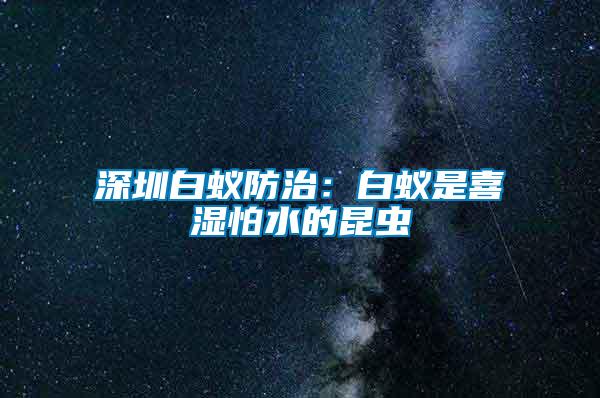 深圳白蟻防治:白蟻是喜濕怕水的昆蟲