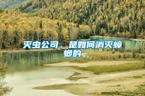 滅蟲公司，是如何消滅蟑螂的