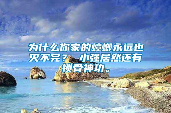 為什么你家的蟑螂永遠(yuǎn)也滅不完？ 小強(qiáng)居然還有鎖骨神功。