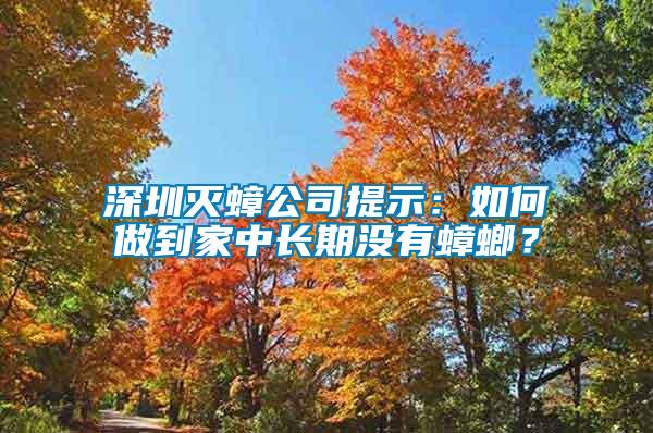 深圳滅蟑公司提示：如何做到家中長期沒有蟑螂？