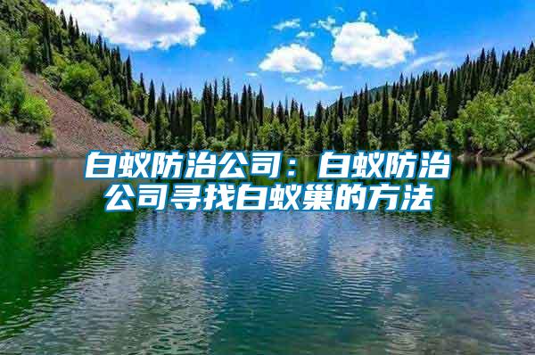 白蟻防治公司:白蟻防治公司尋找白蟻巢的方法